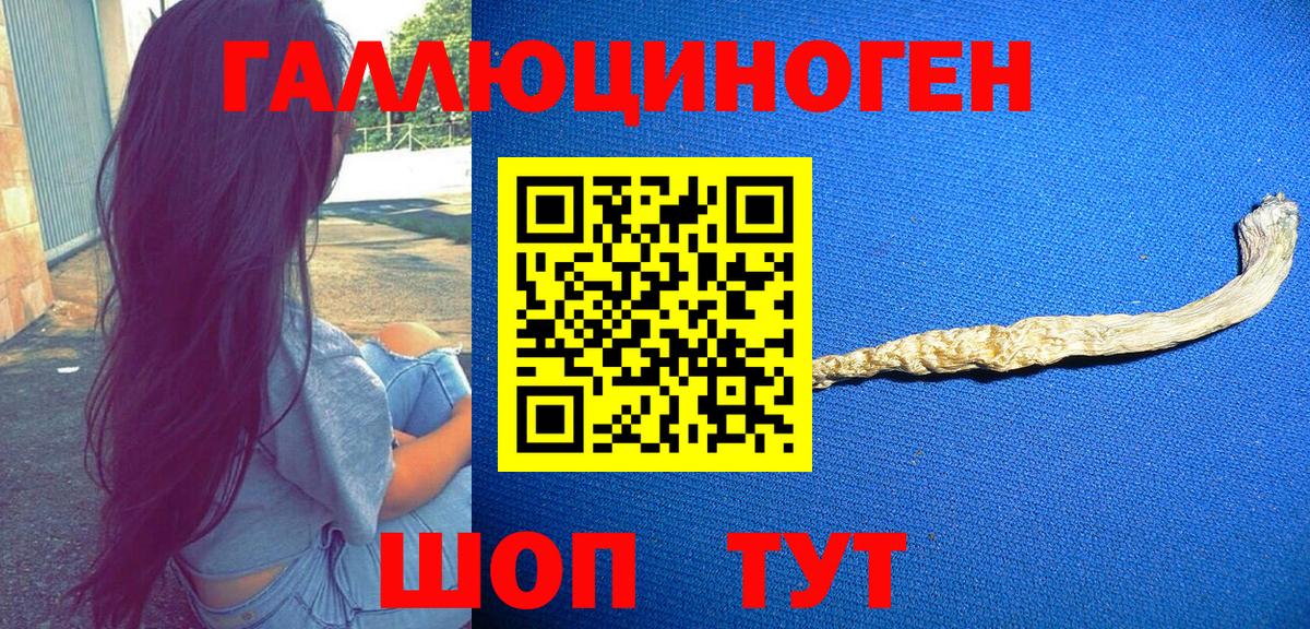 Псилоцибиновые грибы Cubensis Мирный