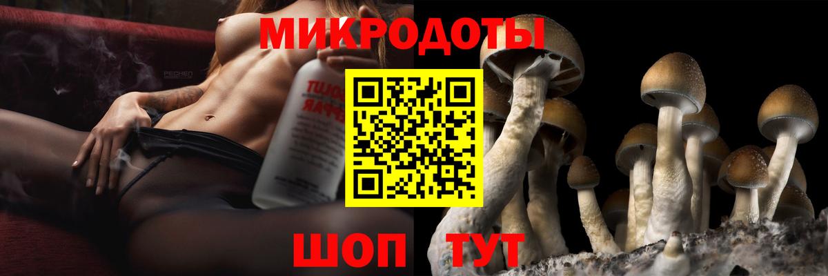 Мирный  Галлюциногенные грибы прущие грибы  Галлюциногенные грибы прущие грибы  Вход с VPN 
